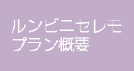 ルンビニセレモプラン概要