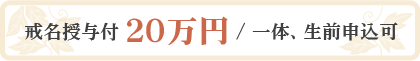 ^t20~/́AO\